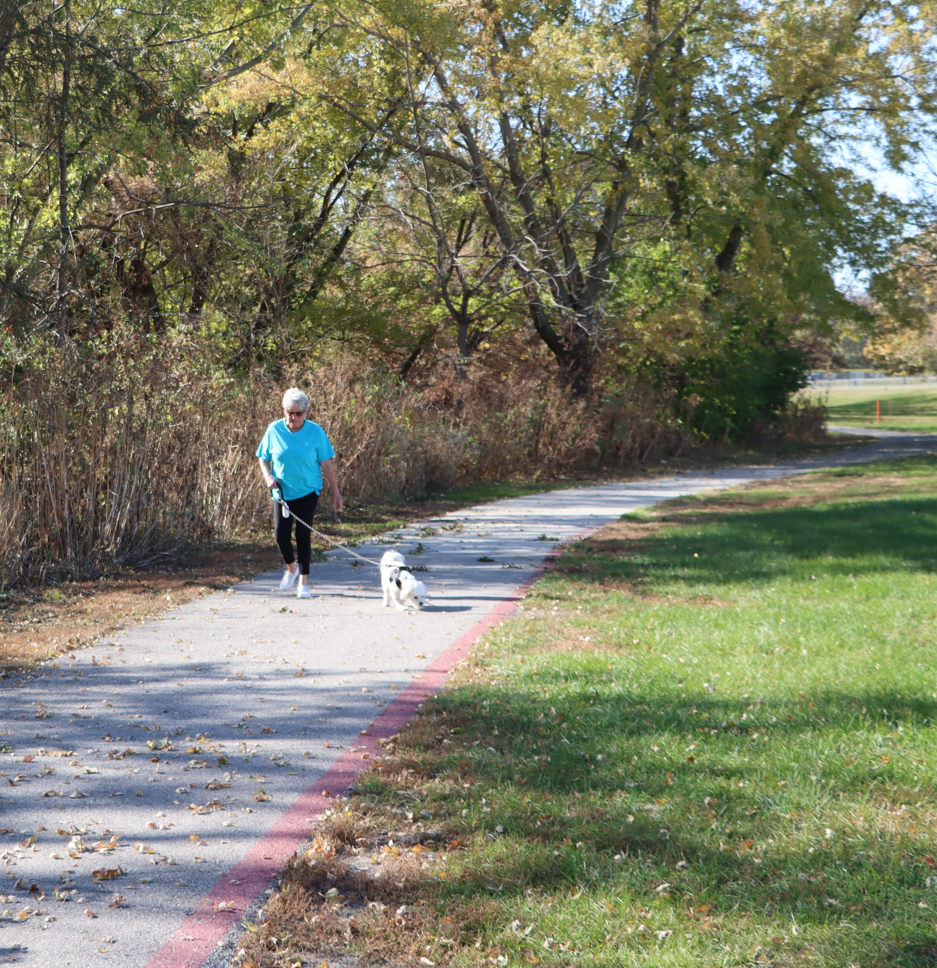 trail walker