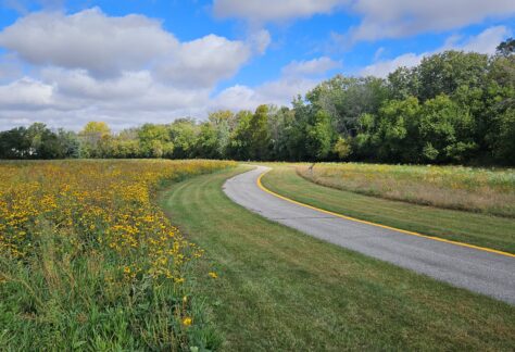 picture of the City's trail loop with wildflowers