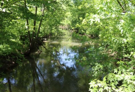 A picture of Indian Creek at the fairgrounds, shows water and trees overtop on a sunny day