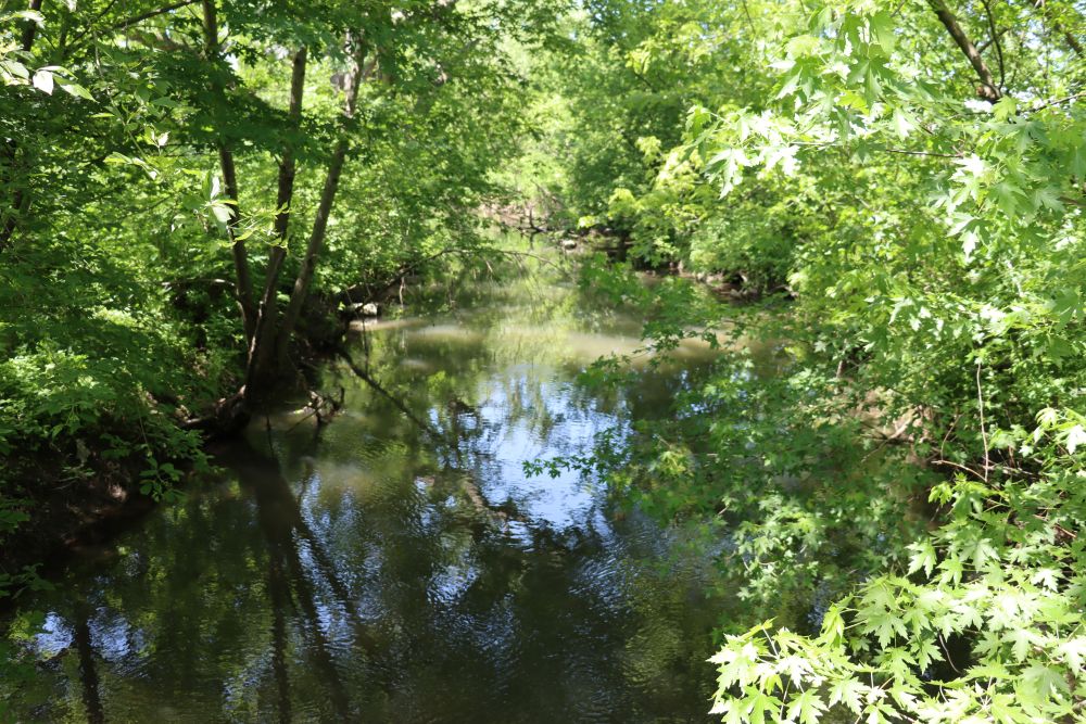 A picture of Indian Creek at the fairgrounds, shows water and trees overtop on a sunny day