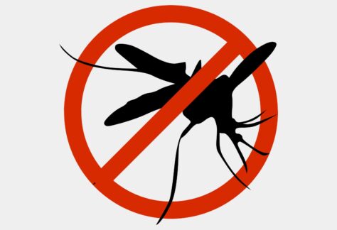 artwork that says NO mosquitoes