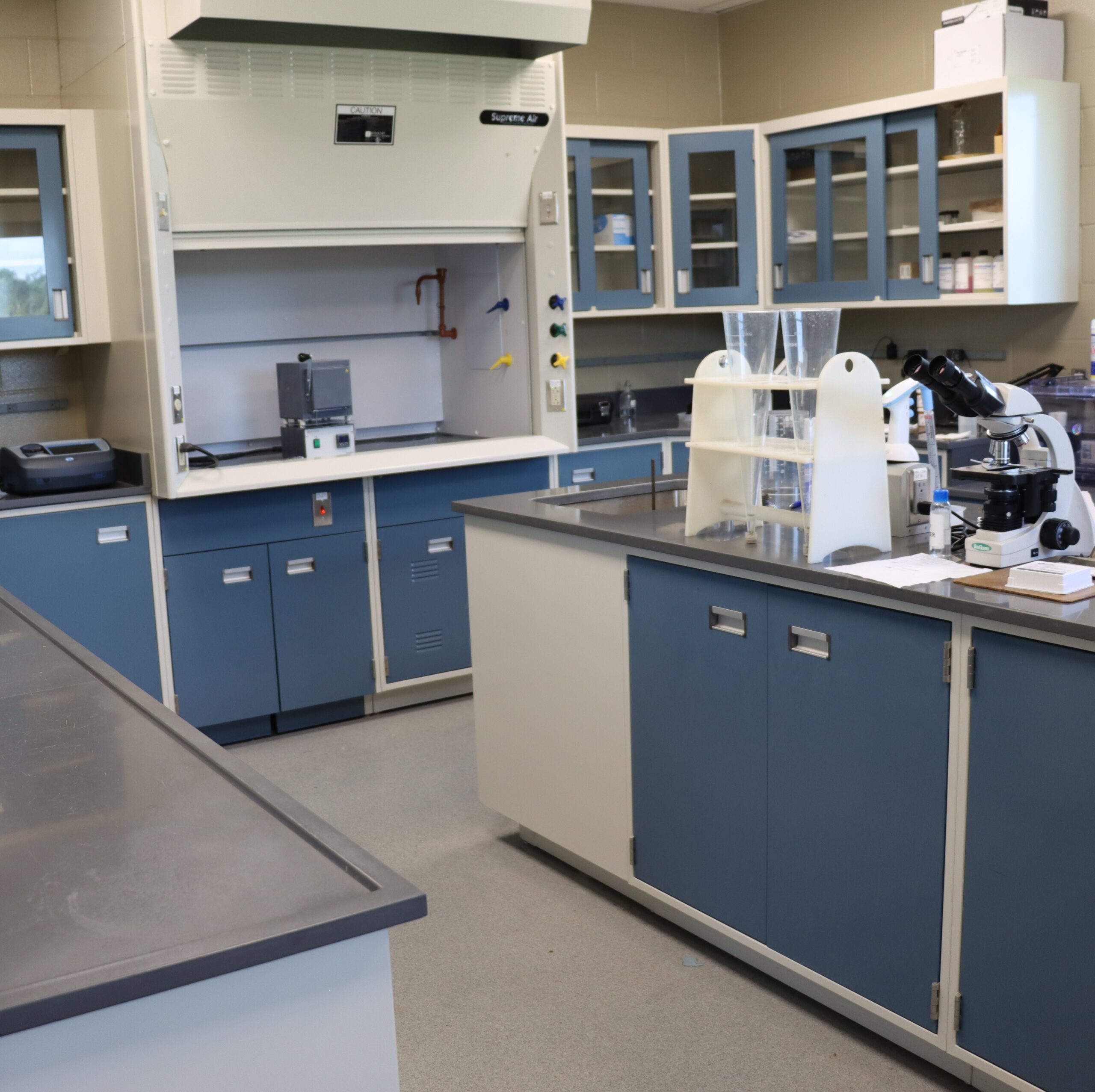 lab