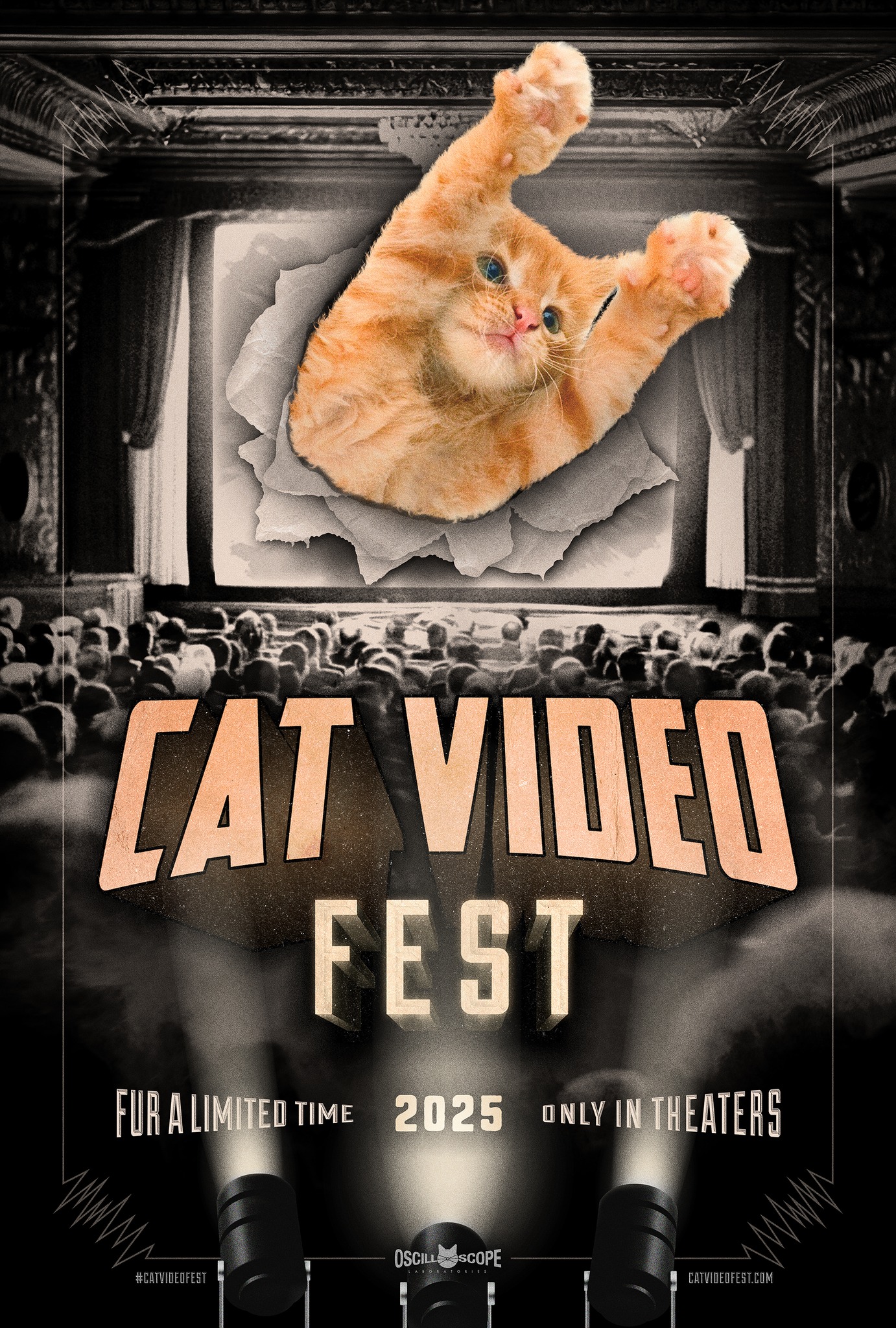 Cat Video Fest art