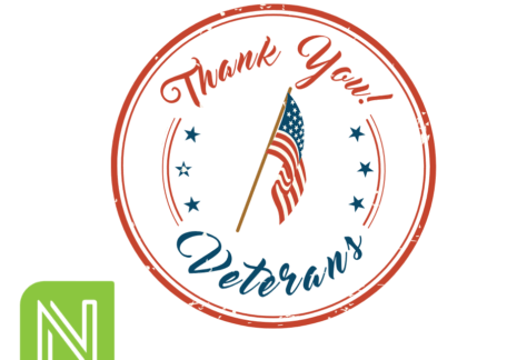 Graphic that says Thank You Veterans.