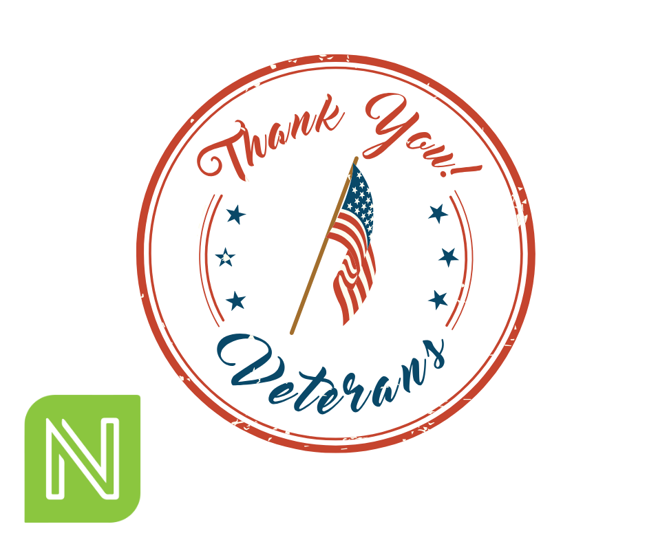 Graphic that says Thank You Veterans.
