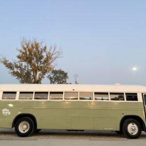 Dahlia green bus