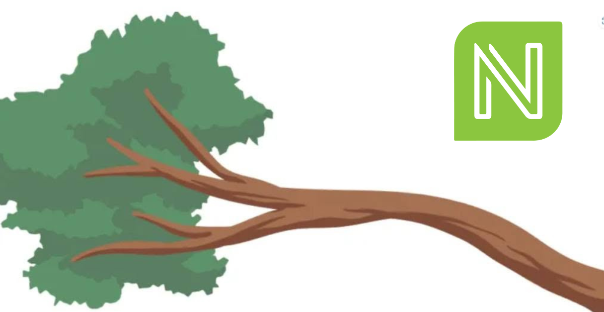 graphic showing a tree limb and the city logo